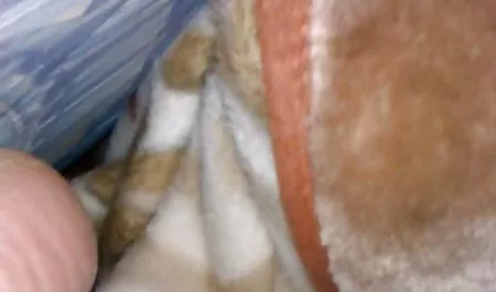 Kristal Fetiş cock teen fuck gençler klasik sexs filmleri