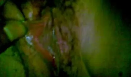 Sıkı kedi benim büyük konulu sexs filim patlıcan