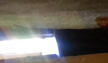 Kötü kız öğrenci bedavasikis filmi izle ELEKTRA Rose dövülerek alır