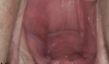 Adriana Chechik ile acımasız sexsfılmı ırklararası anal sex