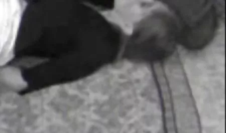 Patlama erotik sexs film itirafları: AVI Dünya çalışan tiyatro horoz emmek