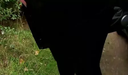 - İçine holly erotik film sexs önünde rezil sik